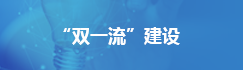 2026年世界杯官网